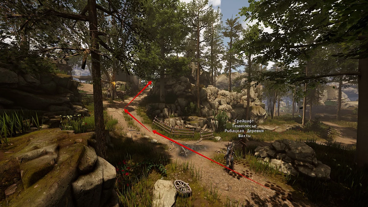 Тропа к лагерному городку Экспедиция