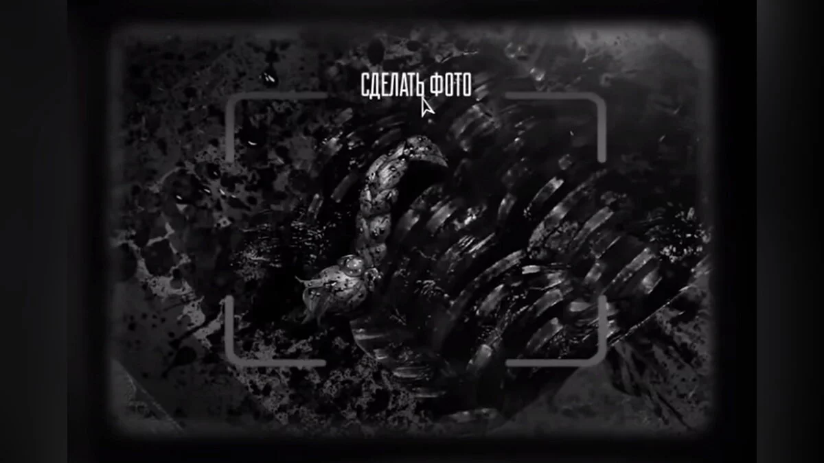 Фотографирование косички Кати как важной улики