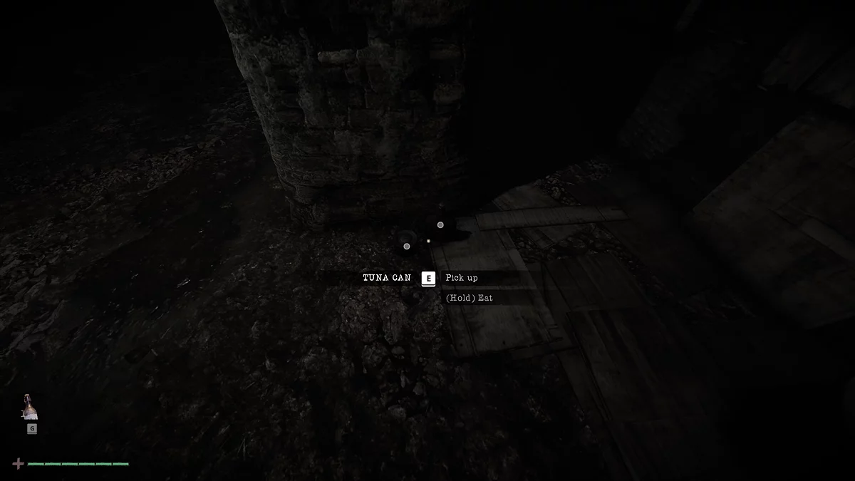 Припасы за колонной - тунец и виски