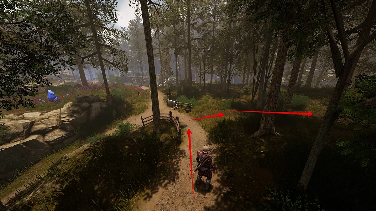 Узкая тропа, ведущая к лагерю охотников