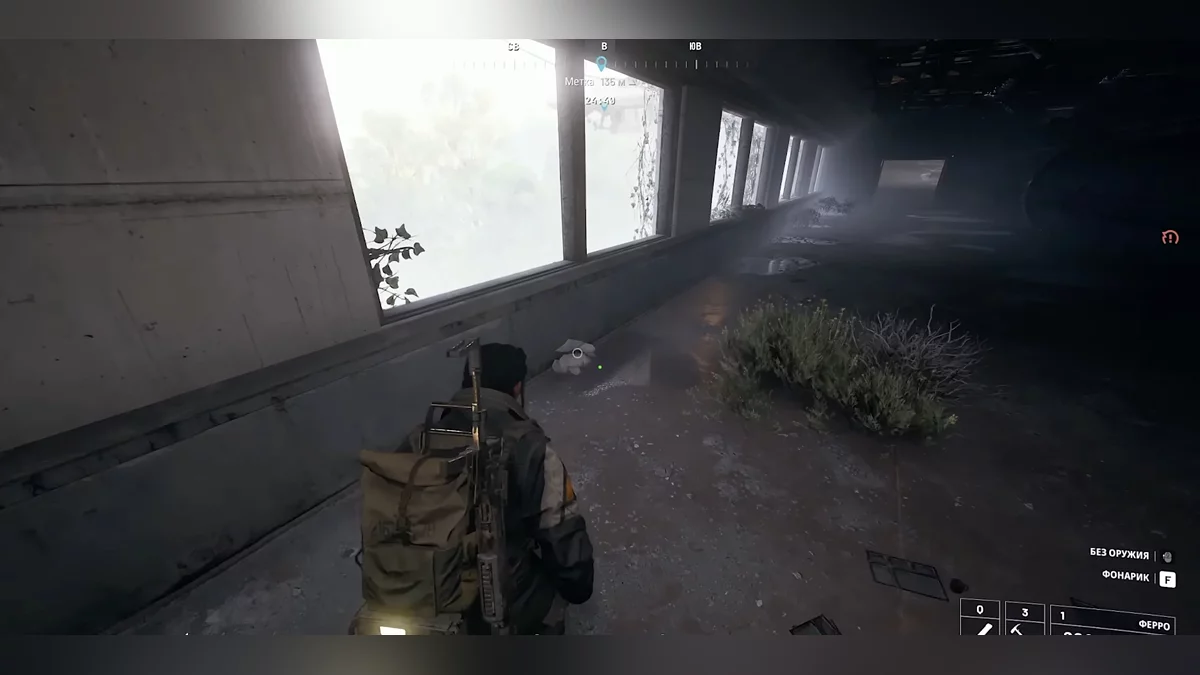 Грибы на деревьях в лесной зоне возле Свалки металлолома