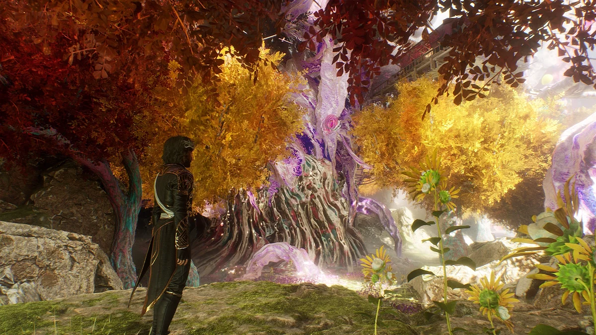 Красочница с эликсиром хромы и три шара для открытия