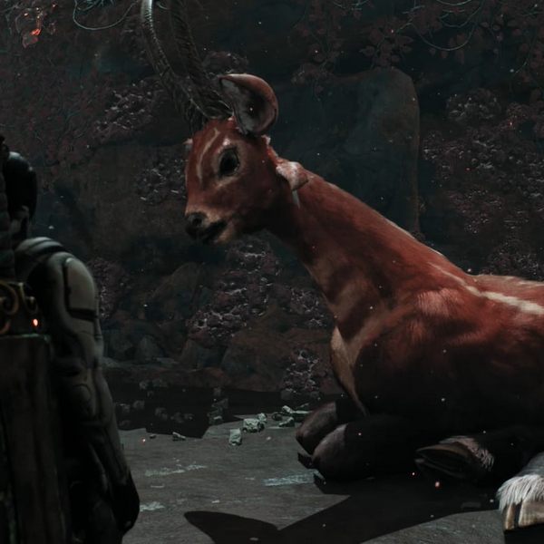 Обложка Remnant 2: Рассматриваем последствия выбора между Ланью и Разорителем