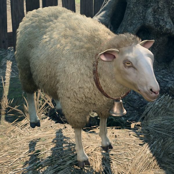 Обложка Baldur's Gate 3: Как найти секретного питомца. Полное руководство по получению магической овцы
