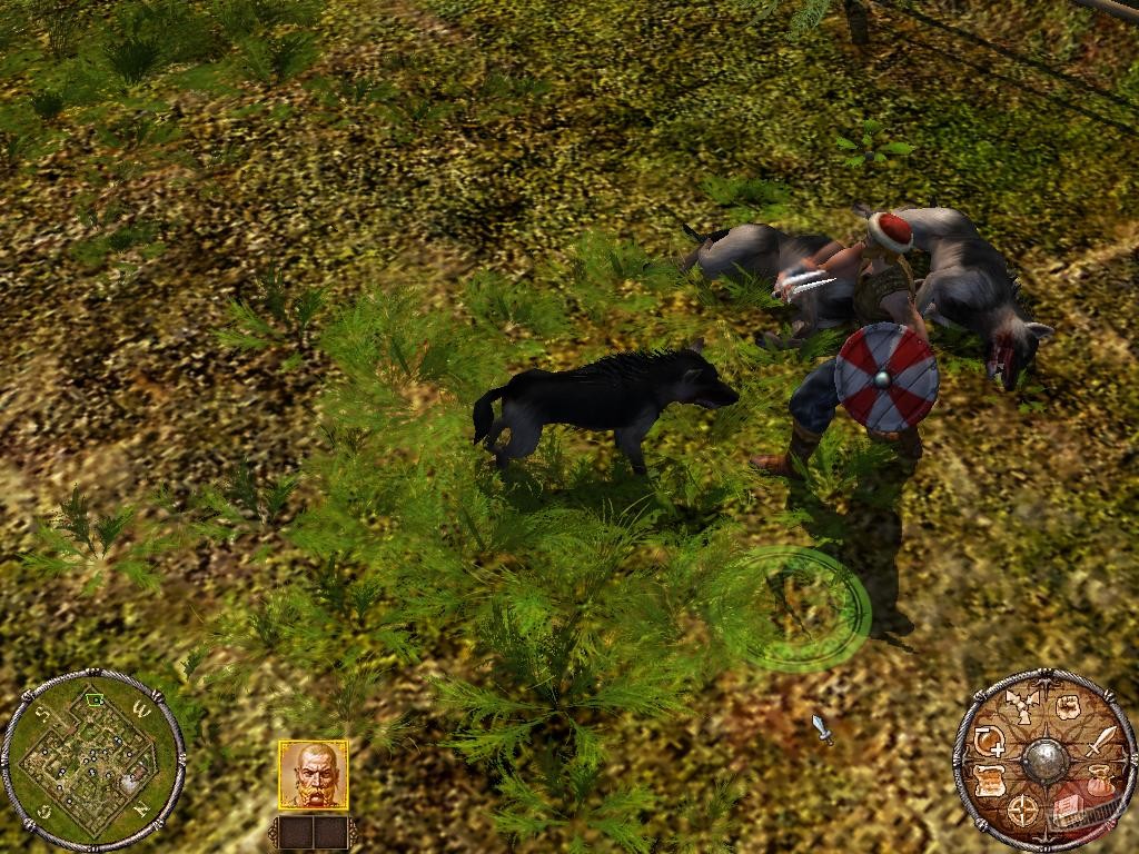 Скриншот из игры Konung 3: Ties of the Dynasty - 29