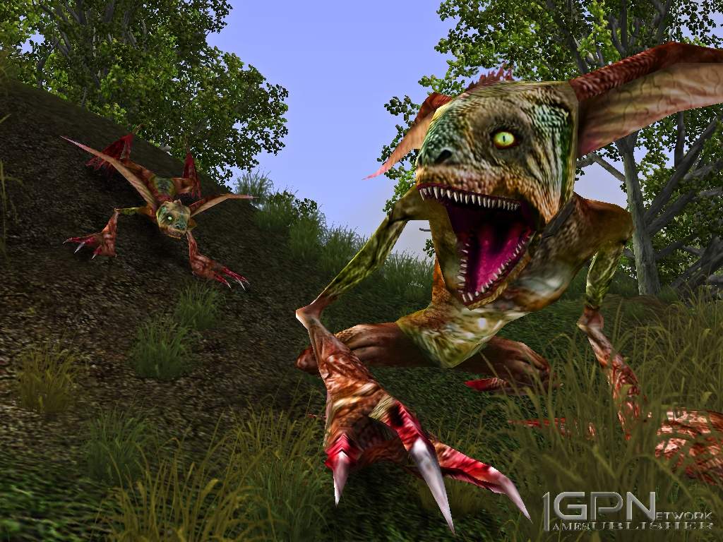 Скриншот из игры Ragnesis Online - 22