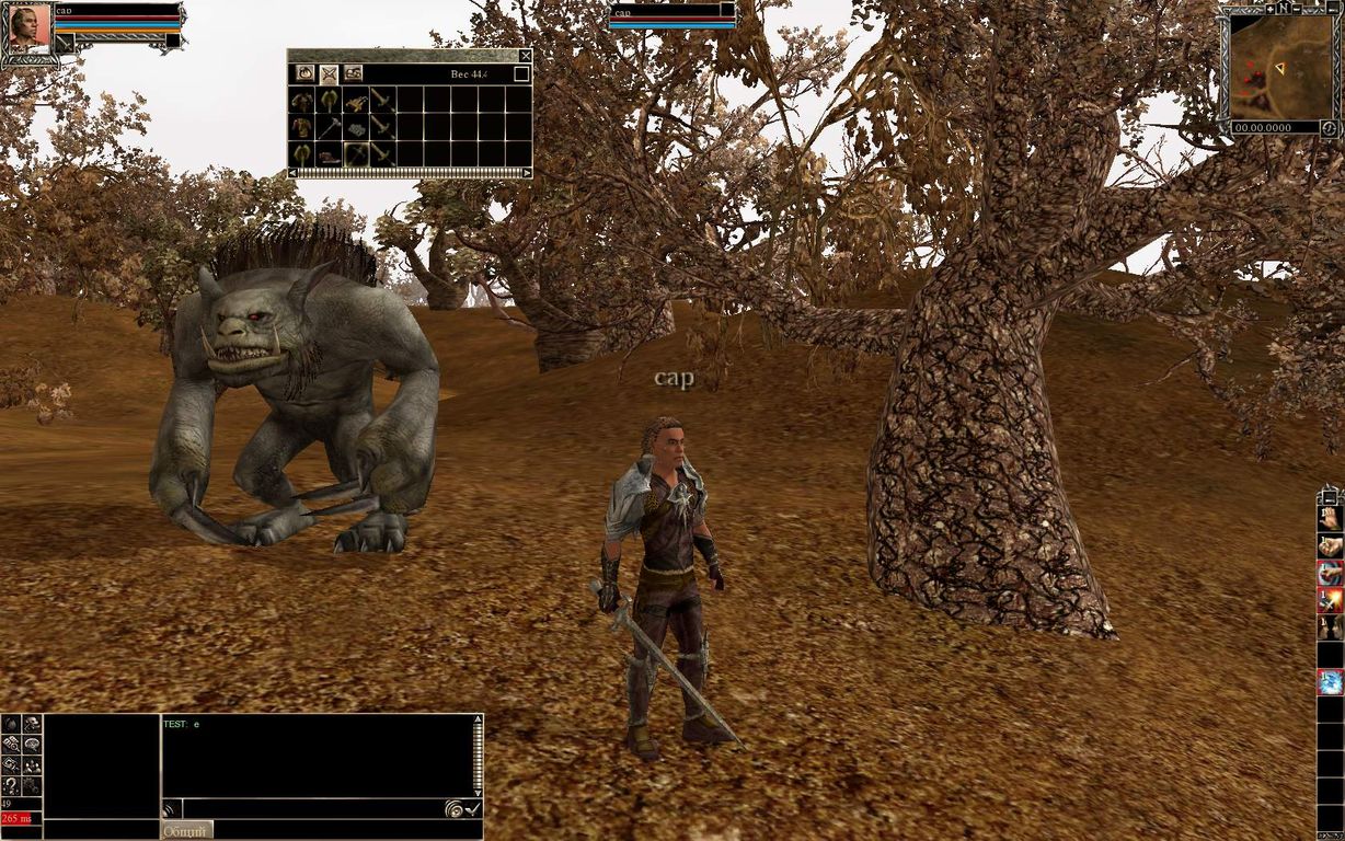 Скриншот из игры Ragnesis Online - 8