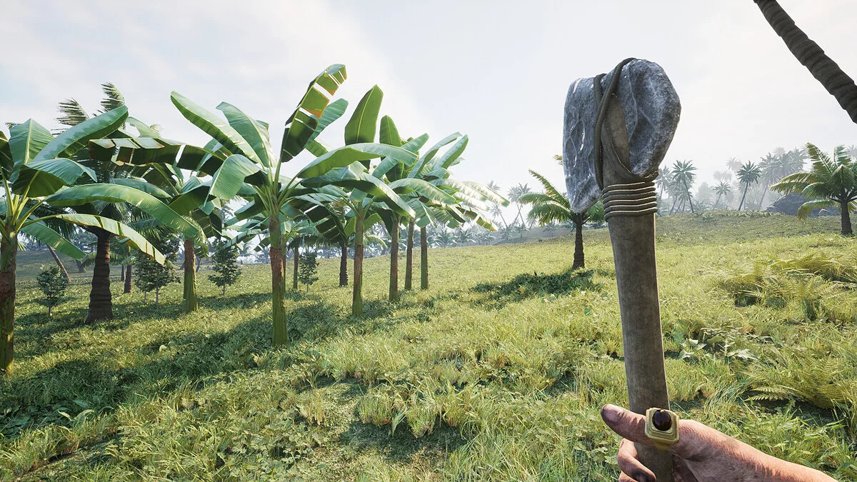 Скриншот из игры Pirates Journey - 2