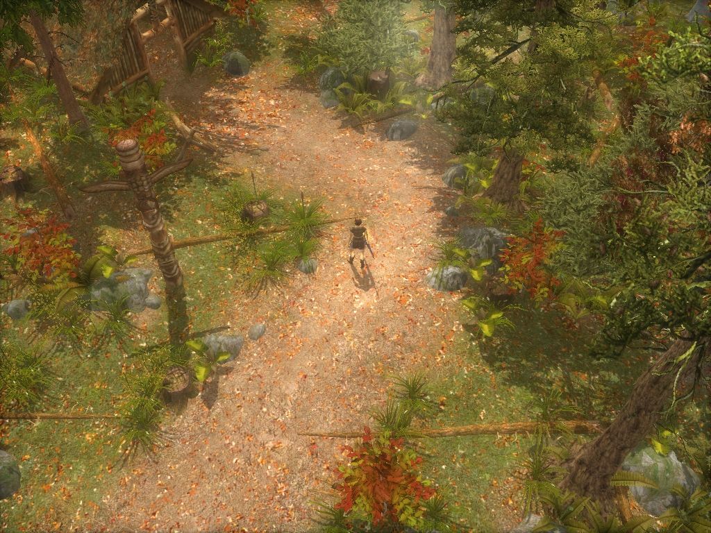 Скриншот из игры Heretic Kingdoms: Reluctant Hero - 2