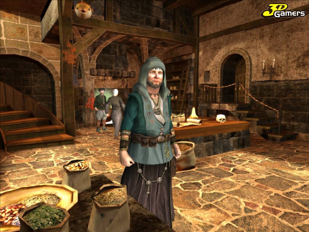 Скриншот из игры The Guild 2 - 1