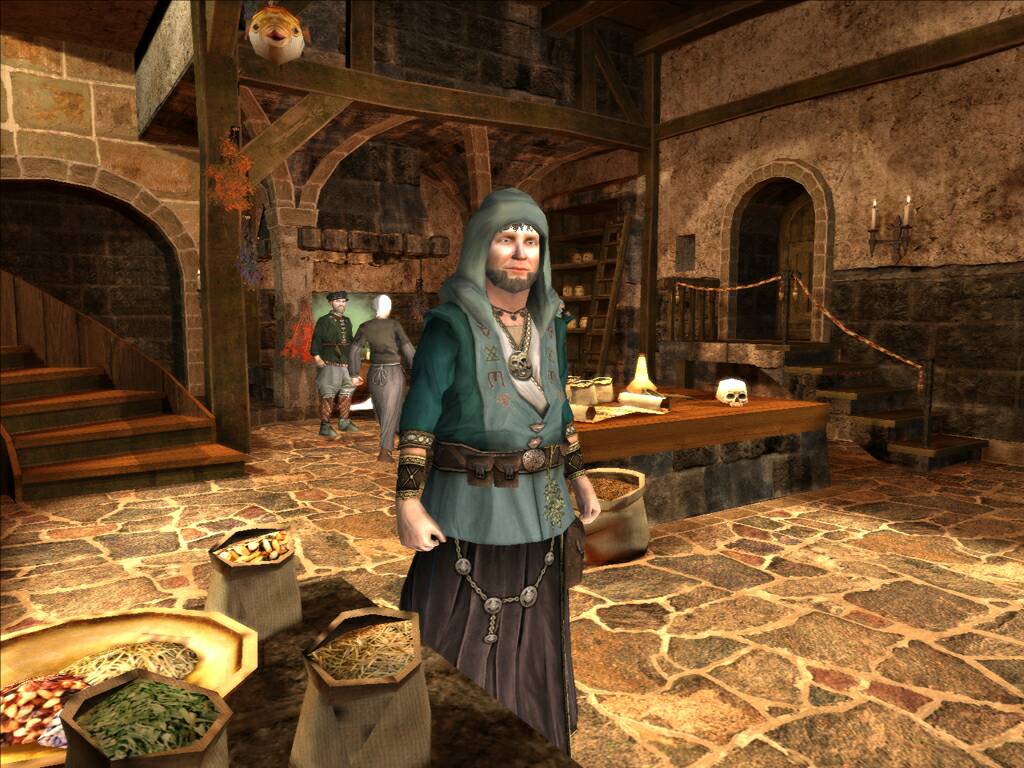 Скриншот из игры The Guild 2 - 52