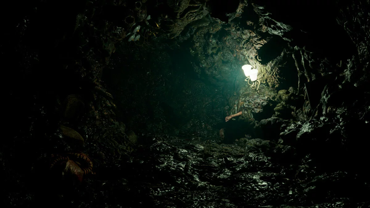 Скриншот из игры Voiceless - 6