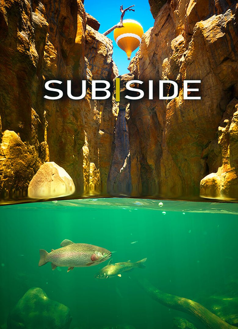 Обложка игры Subside