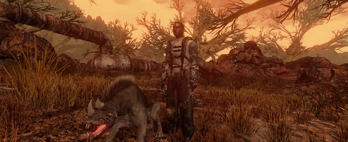 Скриншот из игры The Repopulation - 45