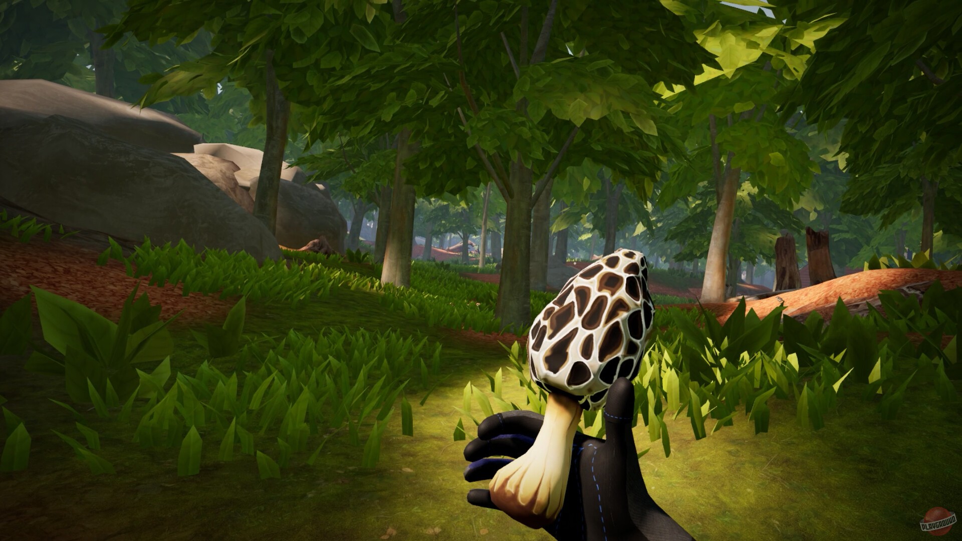 Скриншот из игры Morels: Homestead - 4