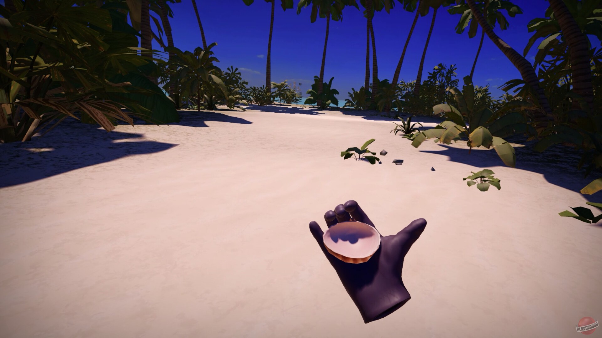 Скриншот из игры Morels: Homestead - 9