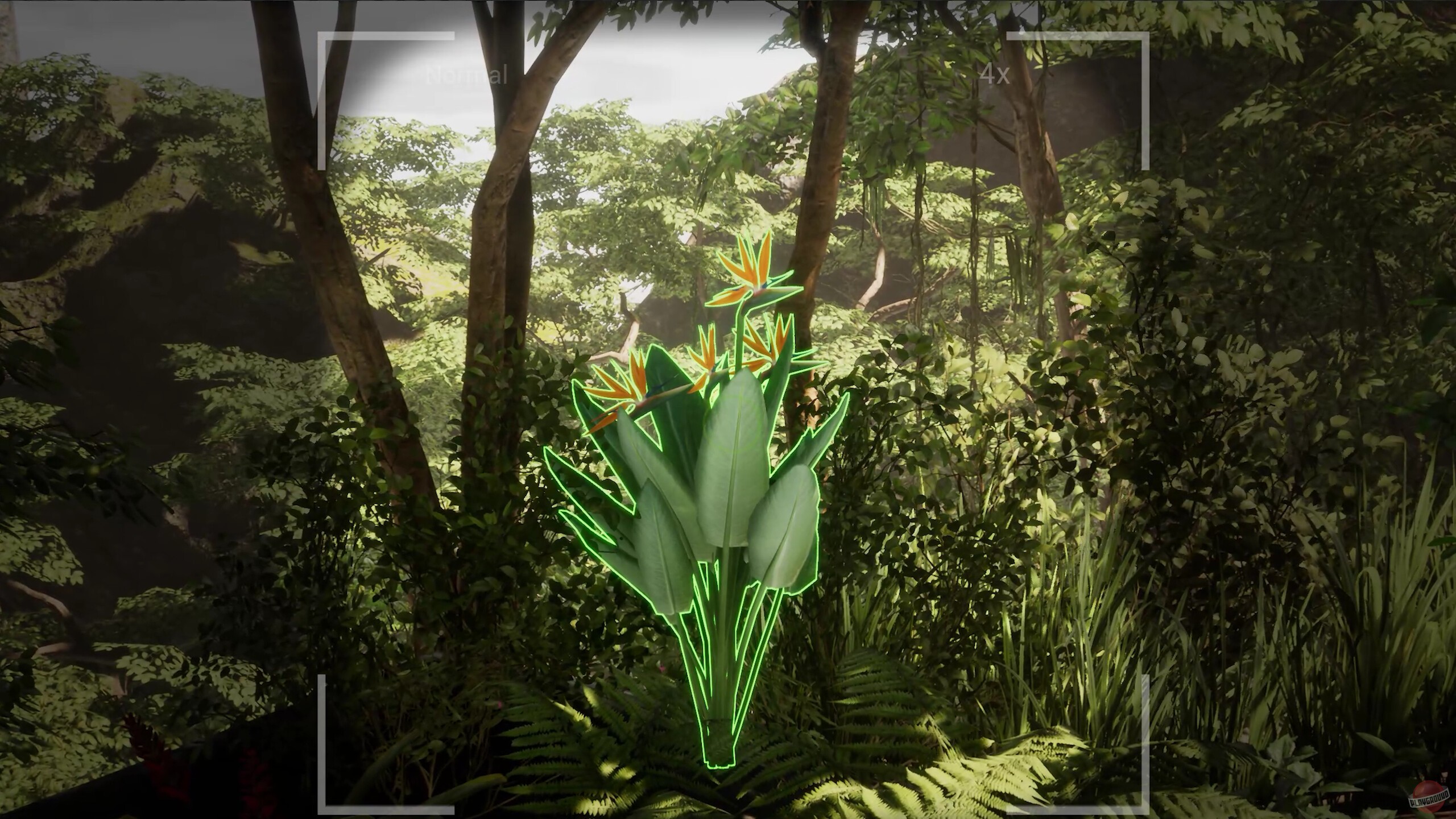 Скриншот из игры Morels: The Hunt 2 - 1