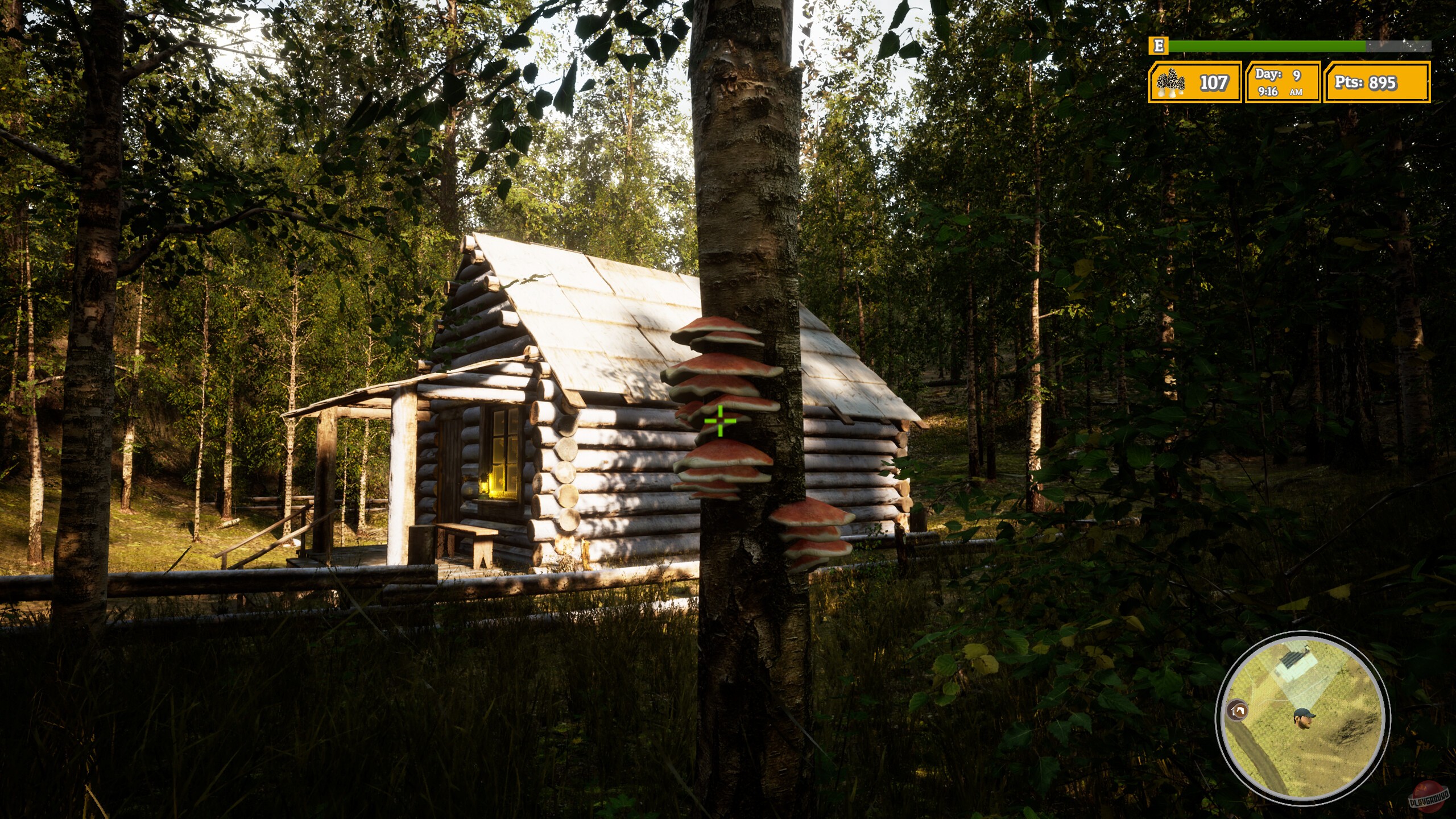 Скриншот из игры Morels: The Hunt 2 - 14