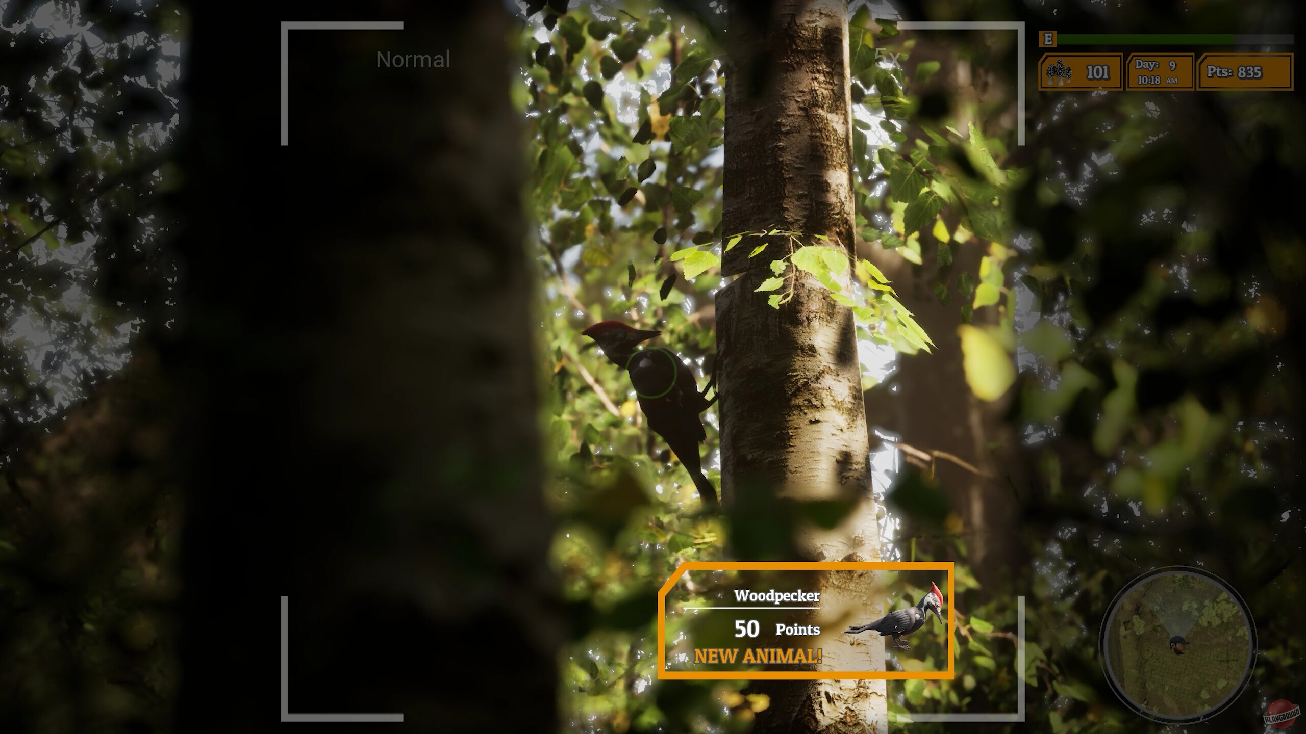 Скриншот из игры Morels: The Hunt 2 - 18