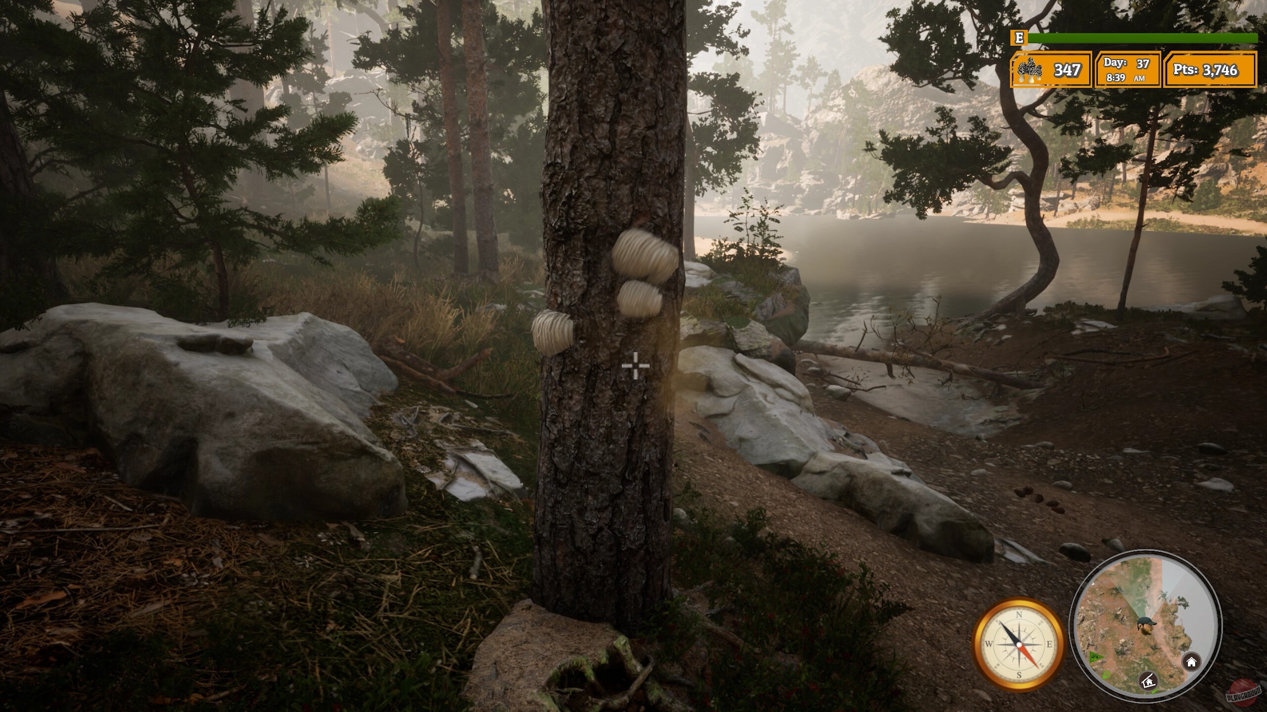 Скриншот из игры Morels: The Hunt 2 - 2