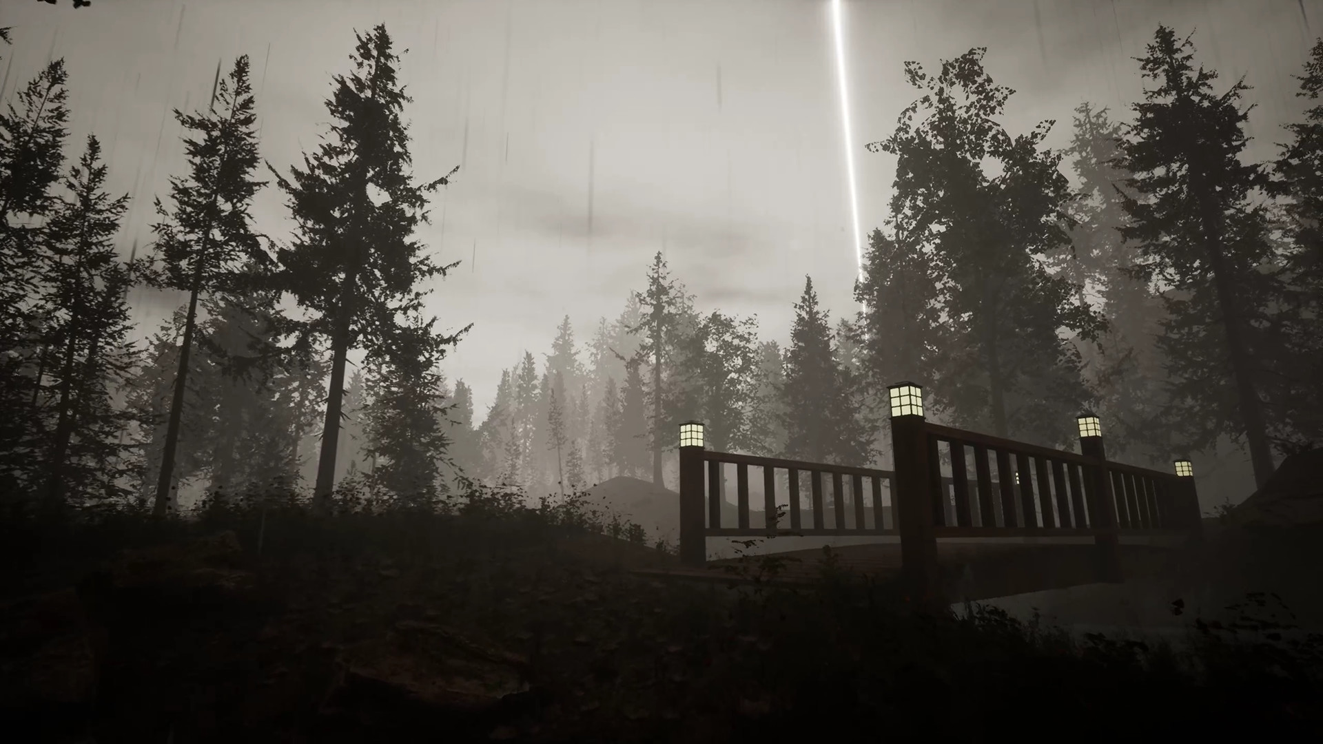 Скриншот из игры Morels: The Hunt - 69