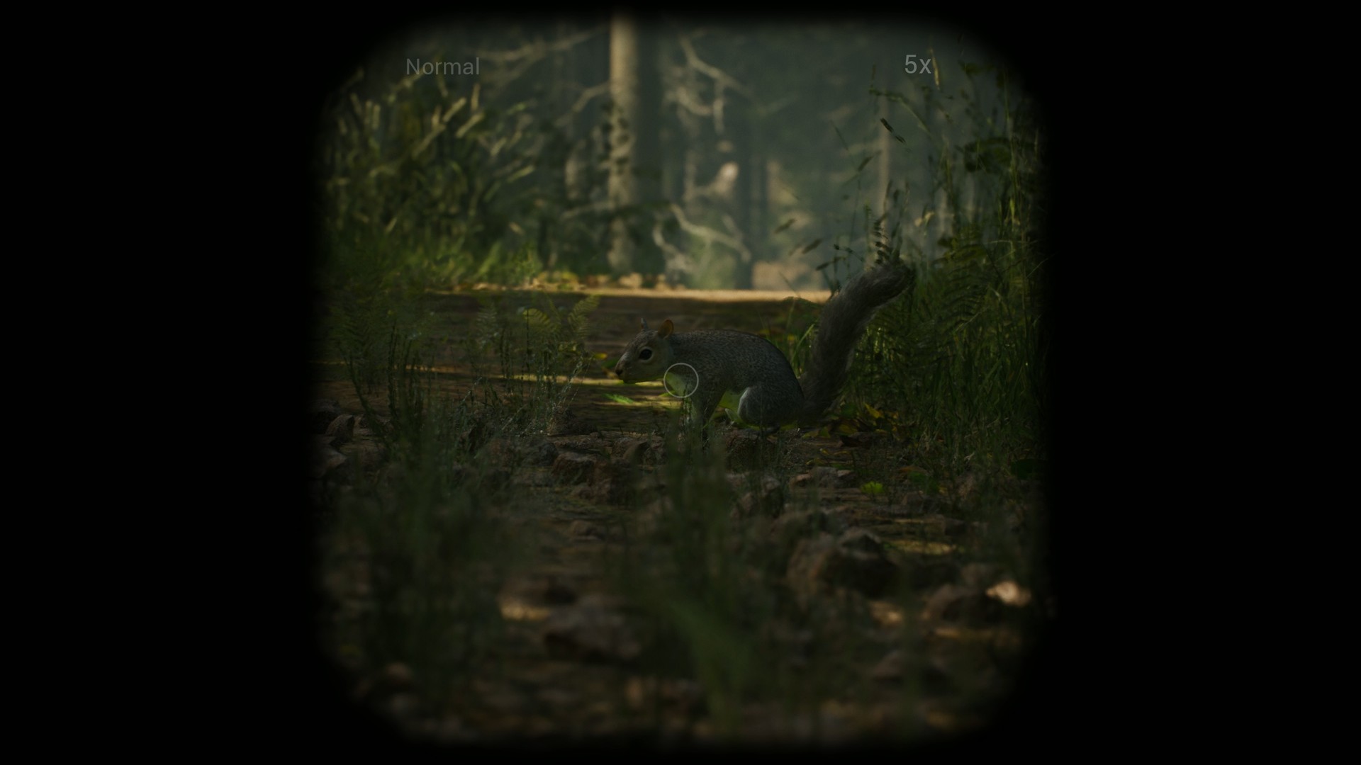 Скриншот из игры Morels: The Hunt - 81