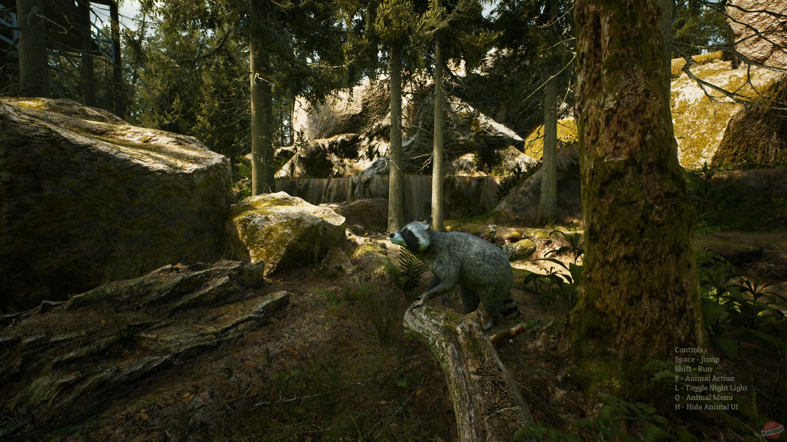 Скриншот из игры Morels: The Hunt - 24