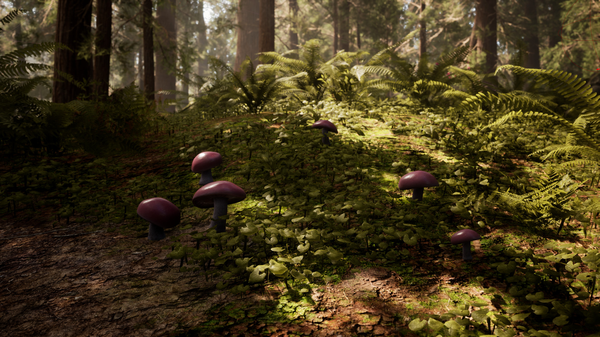 Скриншот из игры Morels: The Hunt - 67