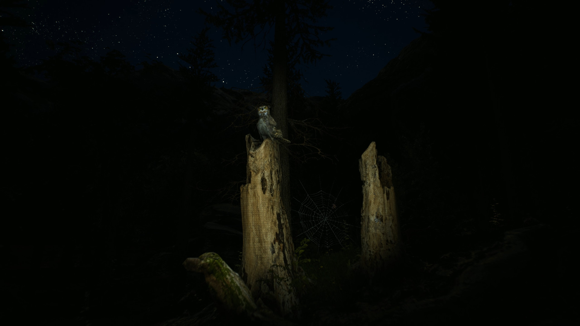 Скриншот из игры Morels: The Hunt - 77