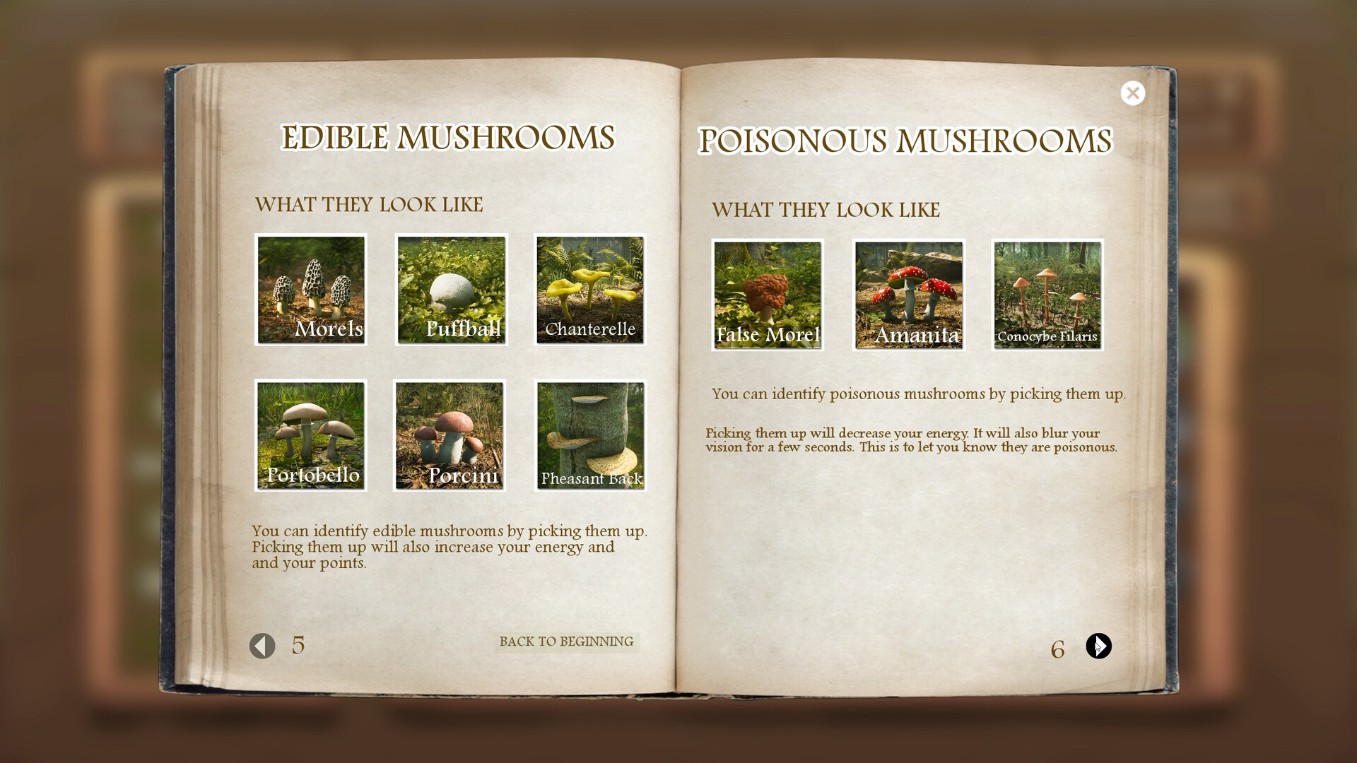 Скриншот из игры Morels: The Hunt - 71