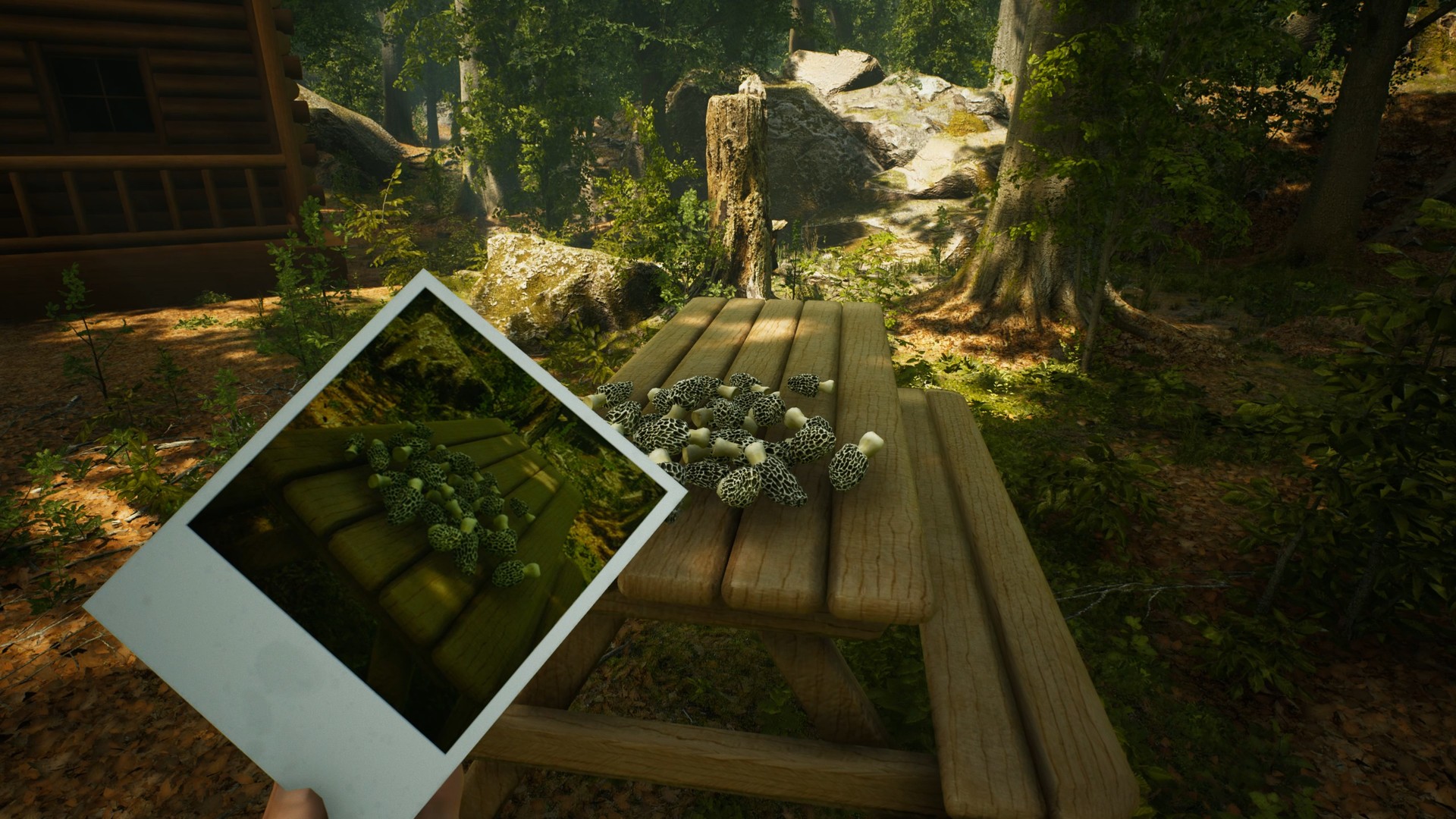 Скриншот из игры Morels: The Hunt - 37