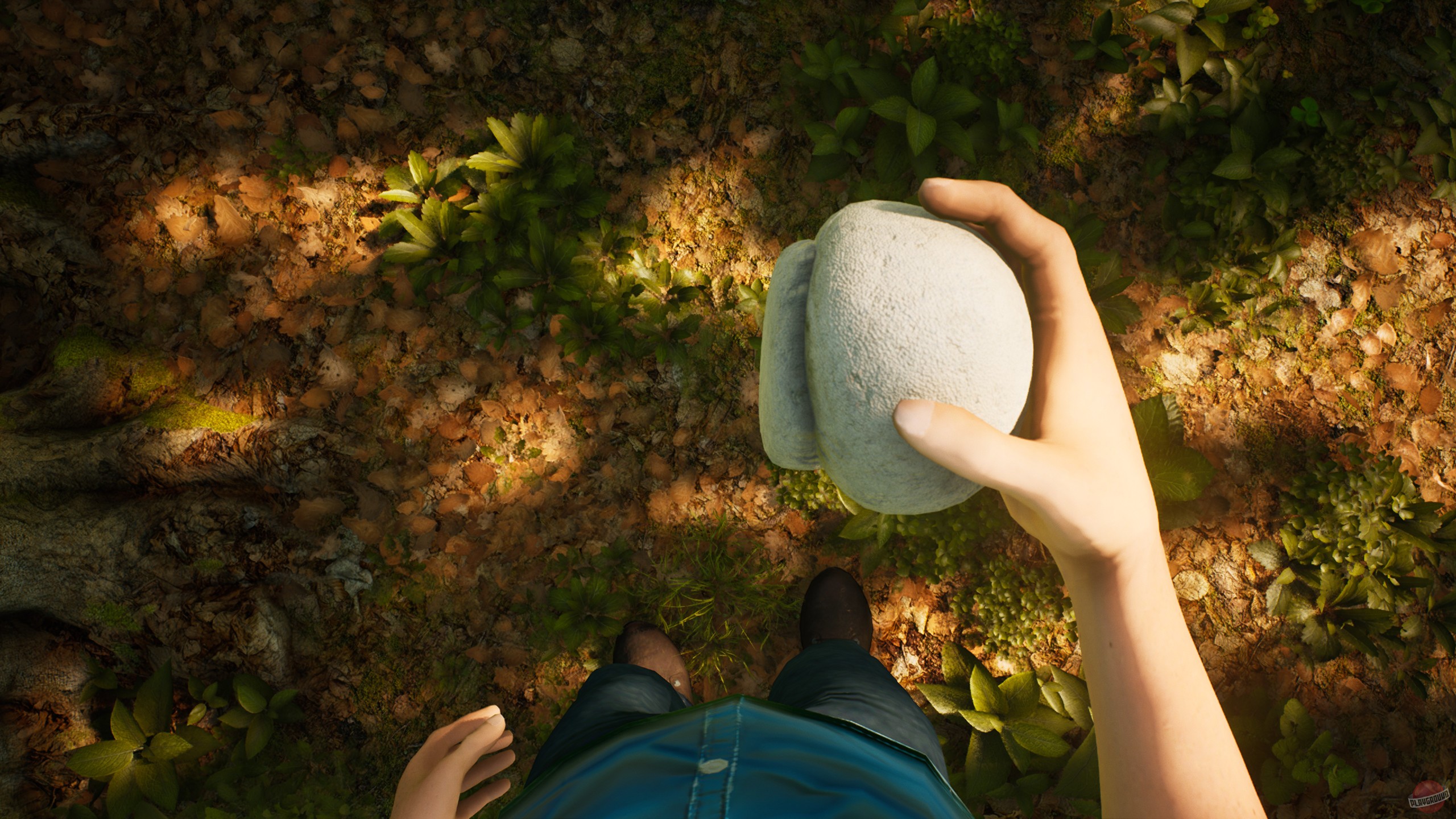 Скриншот из игры Morels: The Hunt - 58