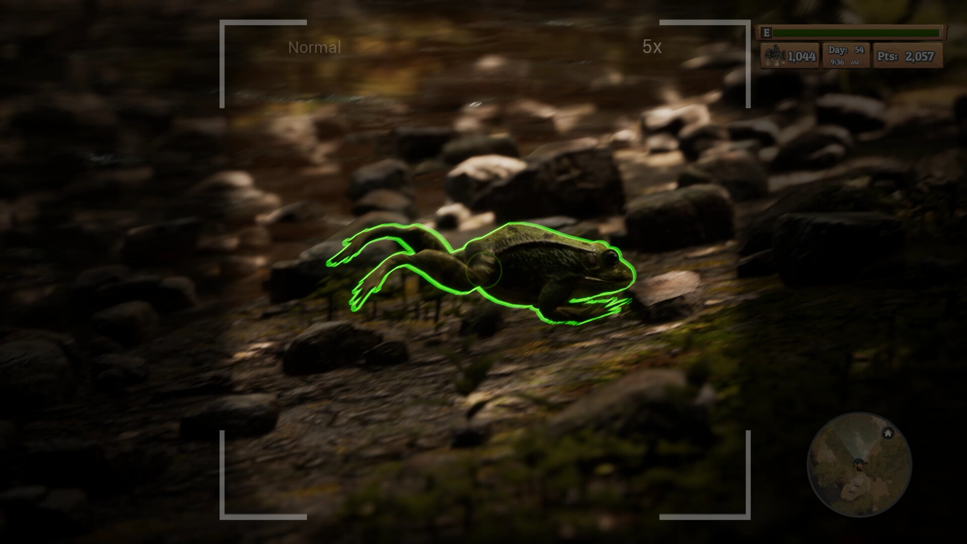 Скриншот из игры Morels: The Hunt - 44