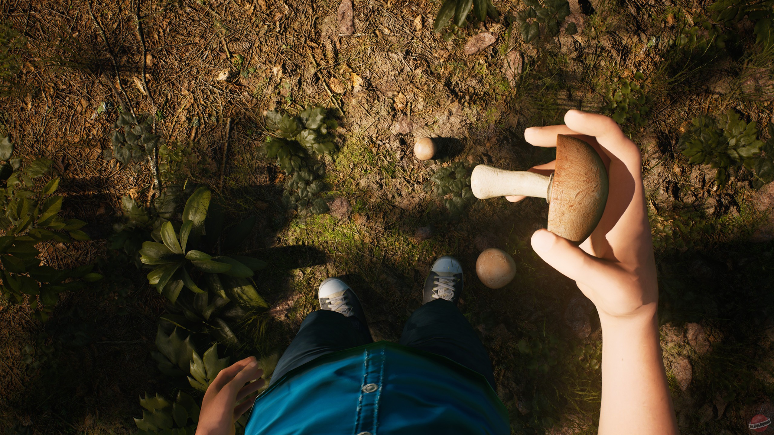 Скриншот из игры Morels: The Hunt - 49