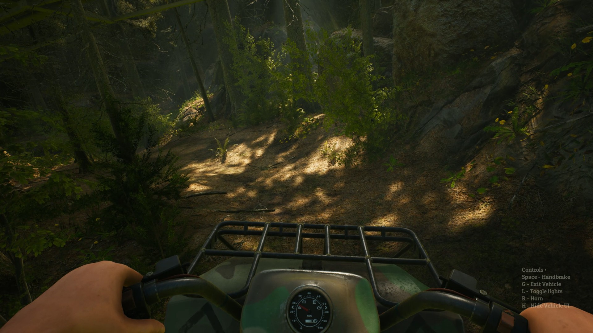 Скриншот из игры Morels: The Hunt - 74