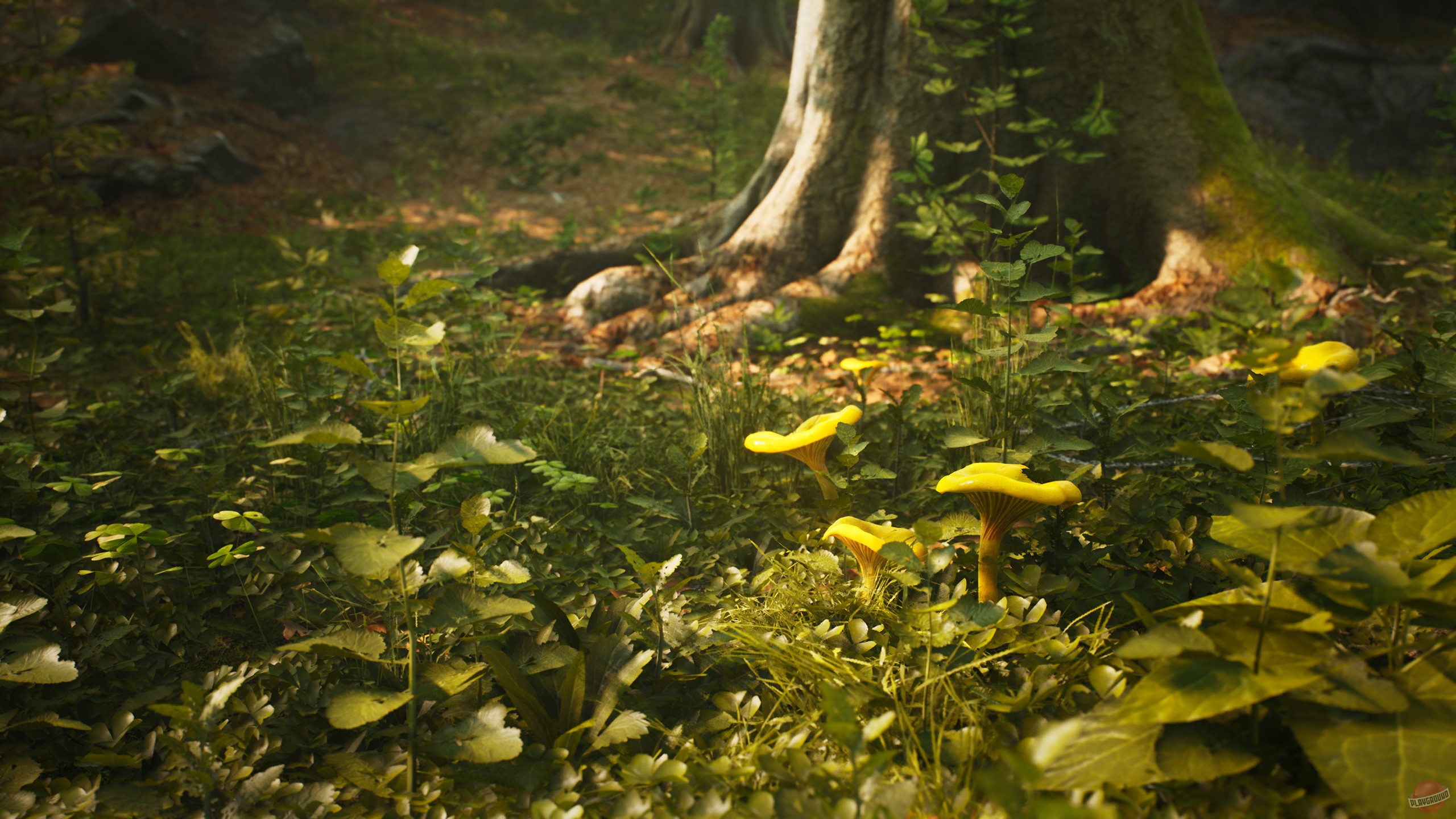 Скриншот из игры Morels: The Hunt - 36