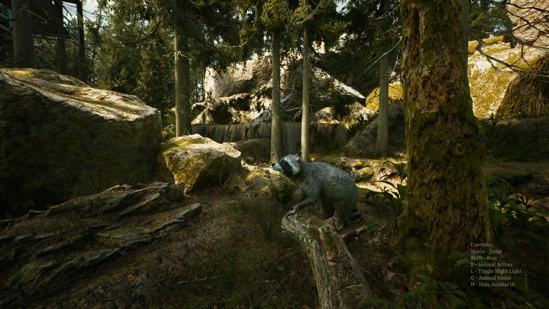 Скриншот из игры Morels: The Hunt - 83