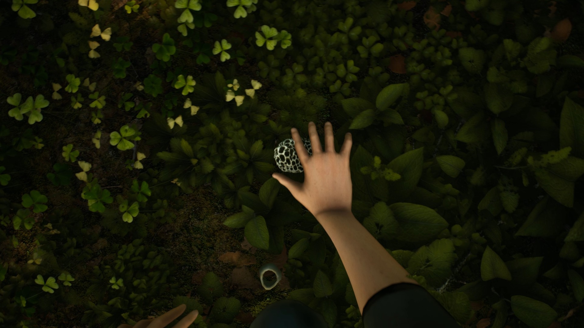 Скриншот из игры Morels: The Hunt - 32