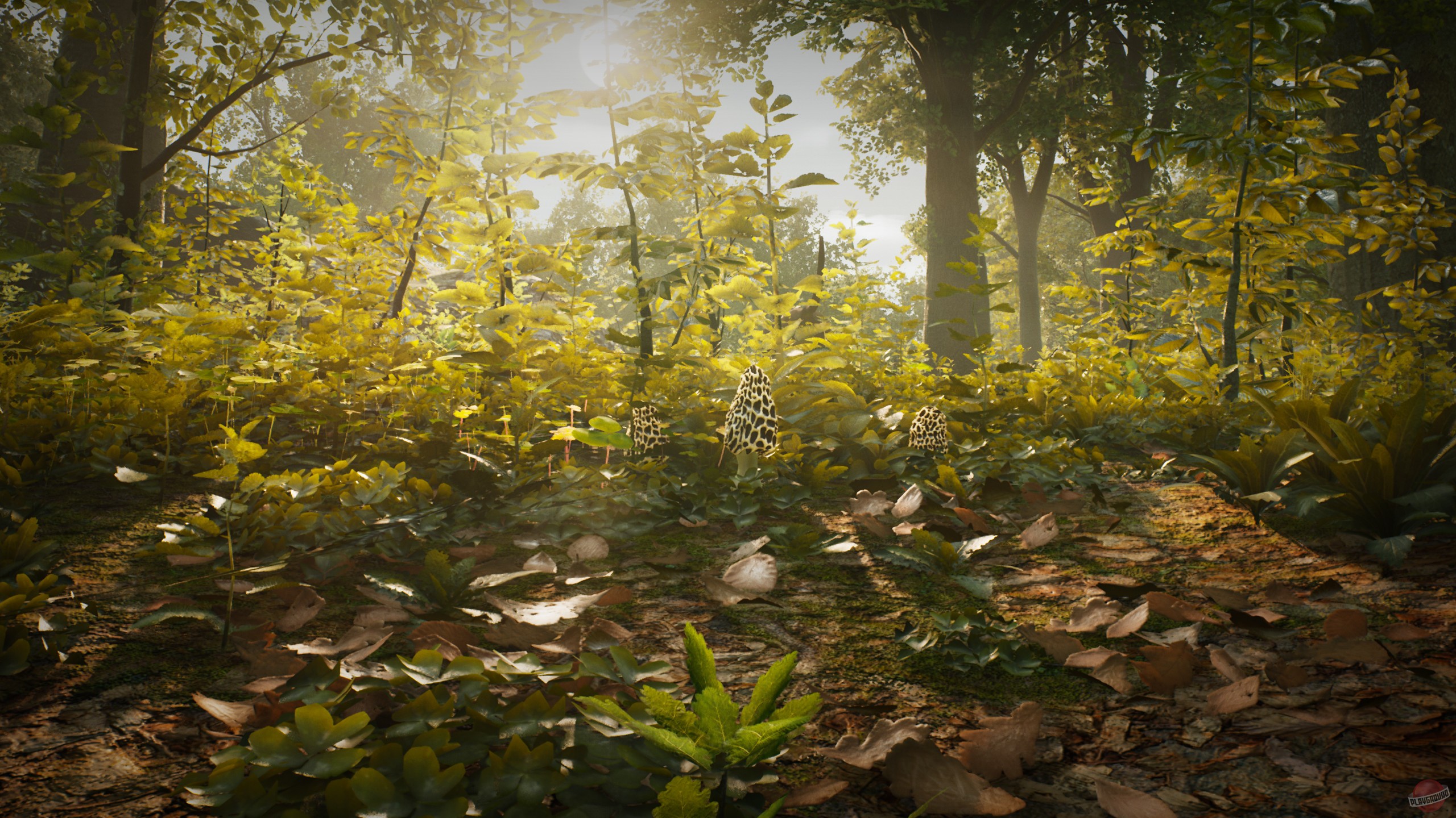 Скриншот из игры Morels: The Hunt - 47