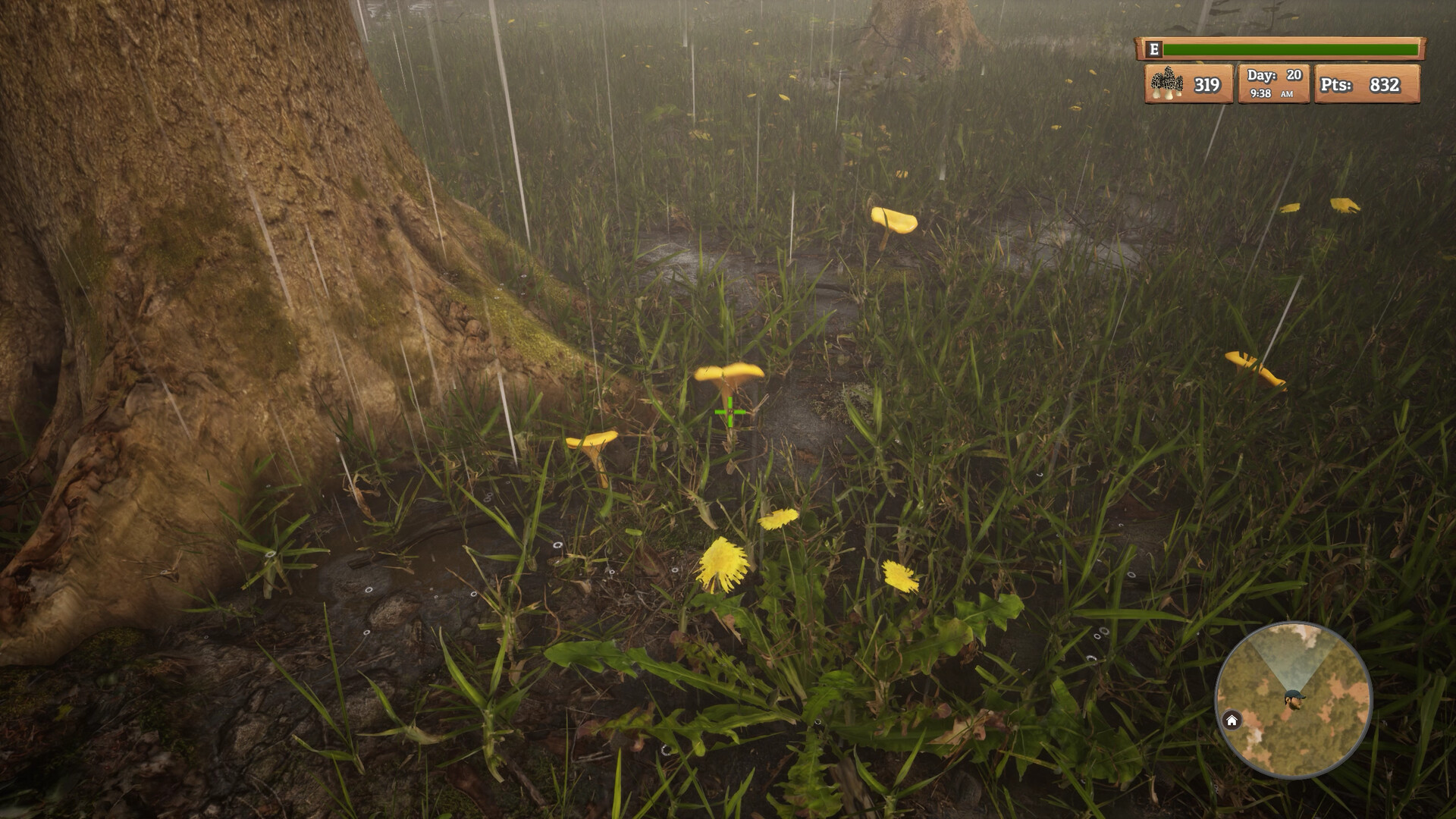 Скриншот из игры Morels: The Hunt - 27