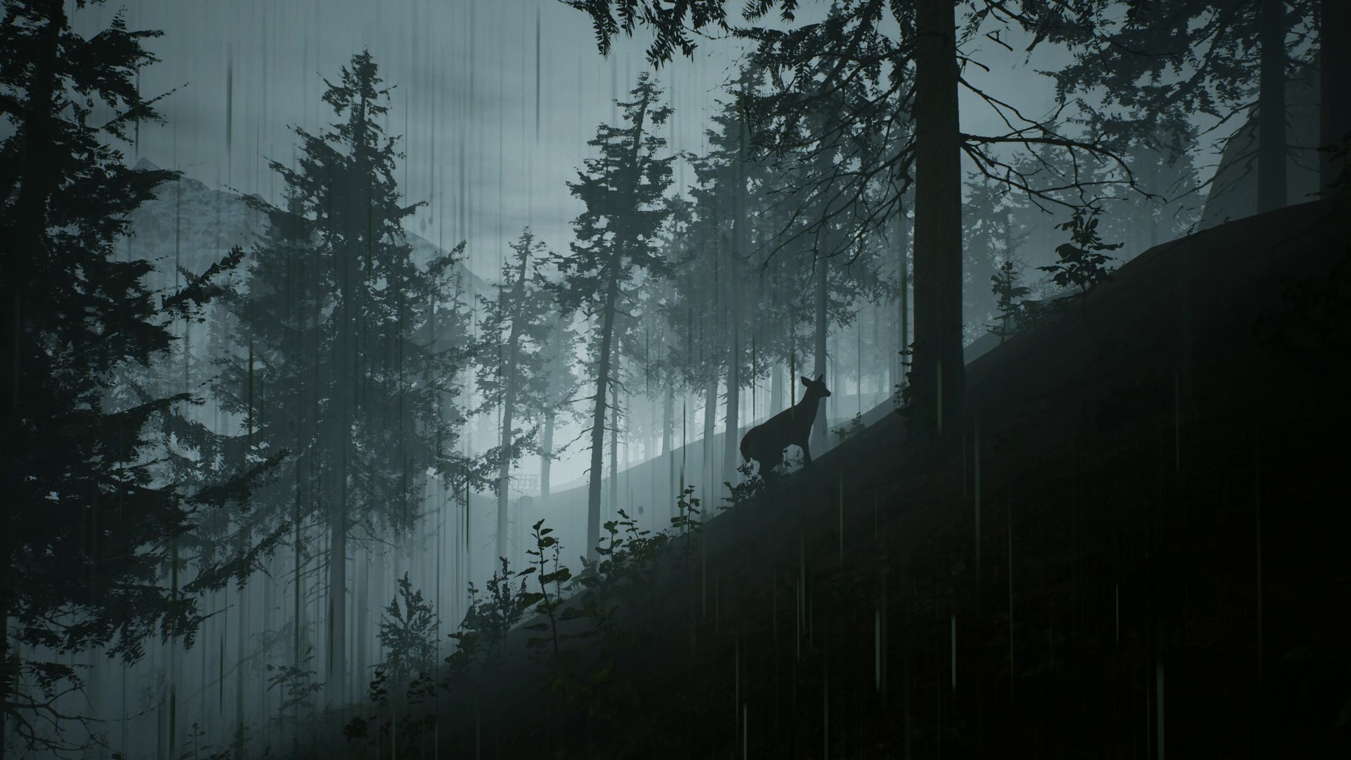 Скриншот из игры Morels: The Hunt - 41