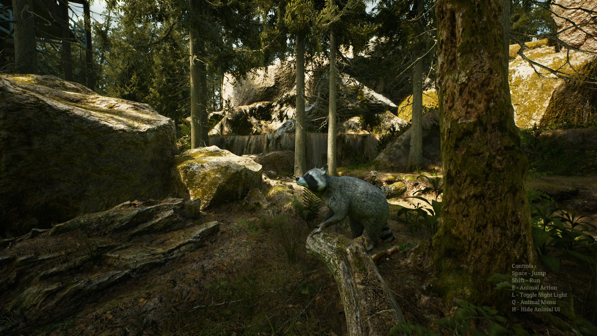 Скриншот из игры Morels: The Hunt - 1