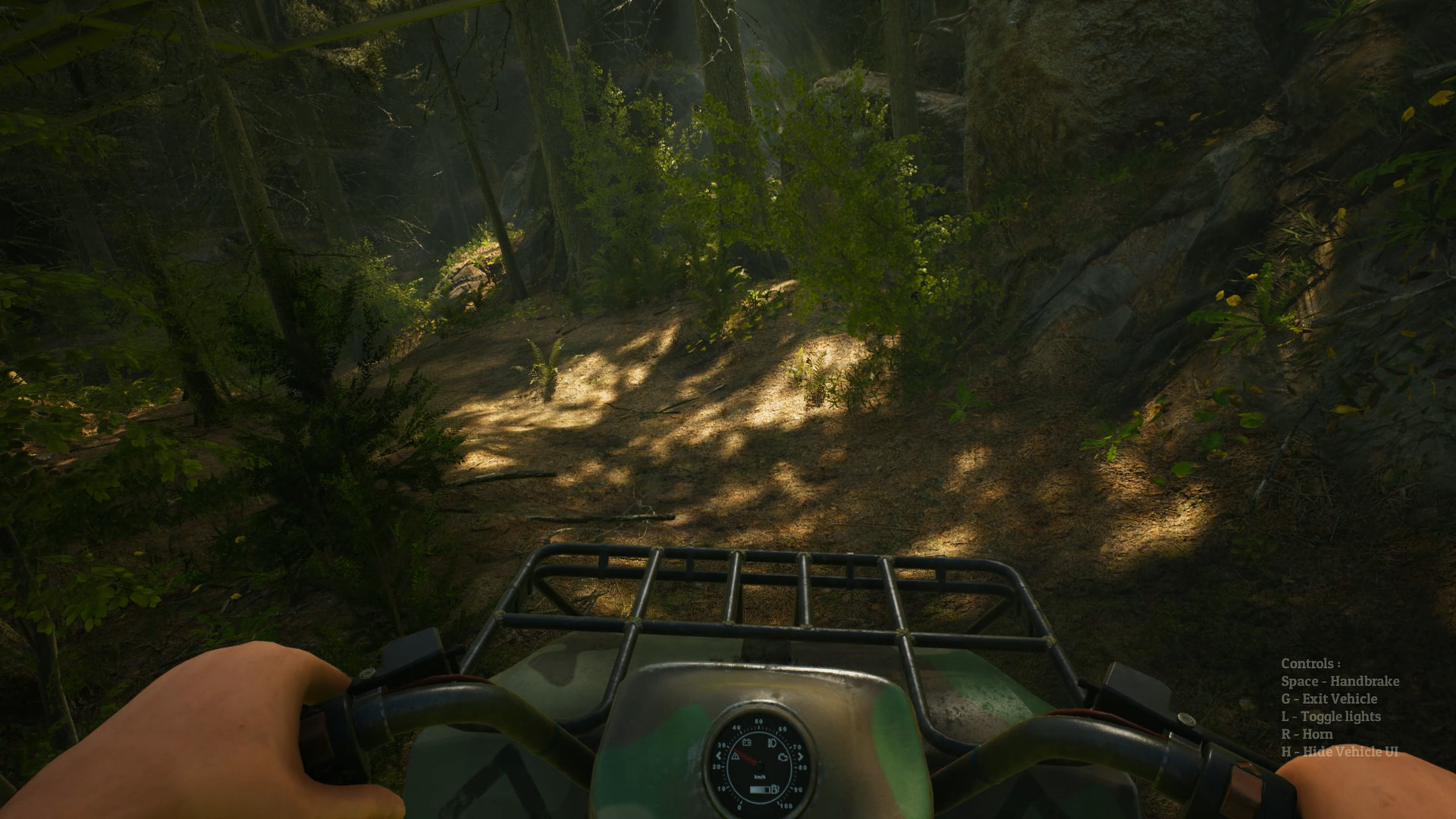 Скриншот из игры Morels: The Hunt - 2