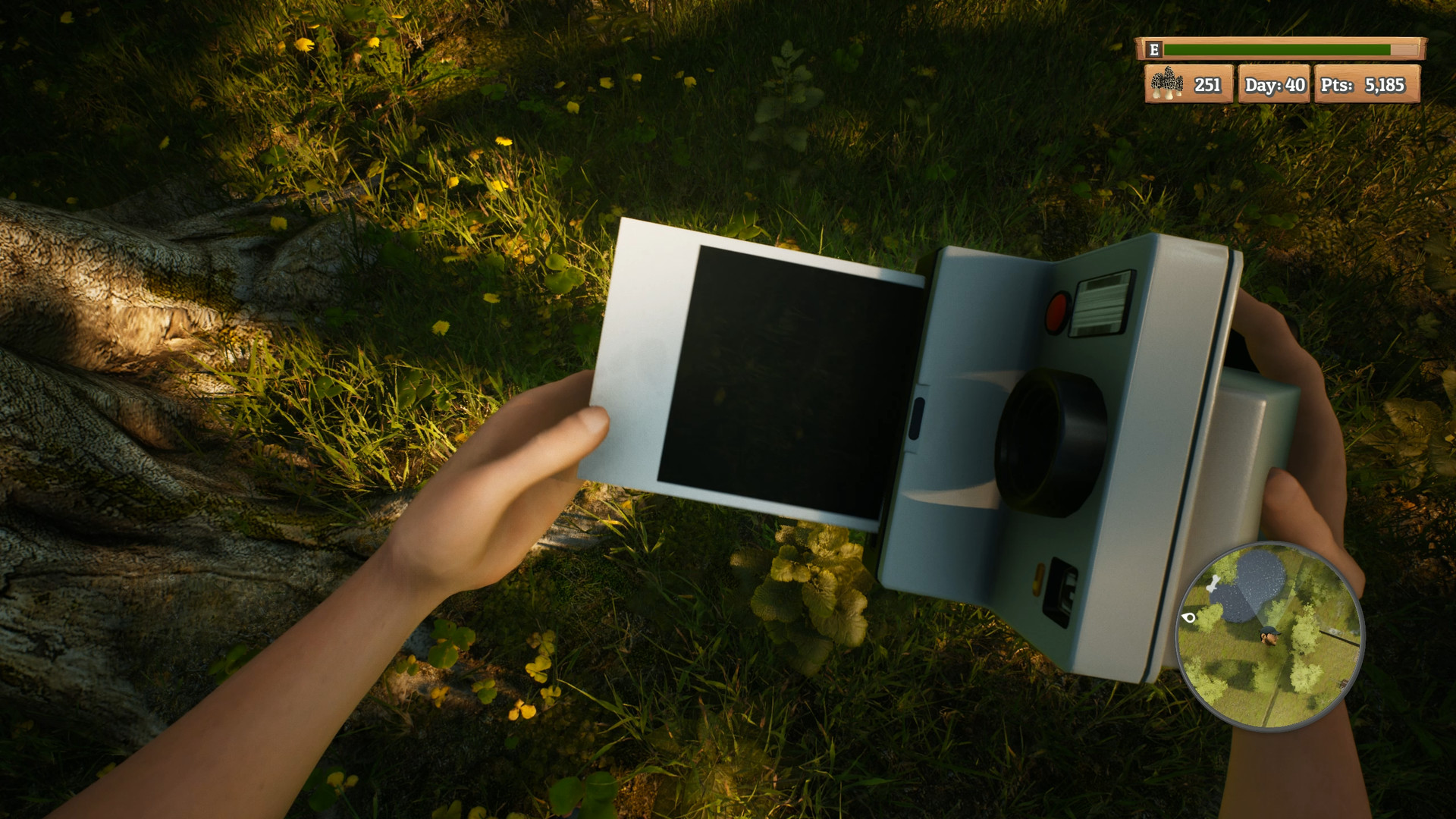 Скриншот из игры Morels: The Hunt - 14