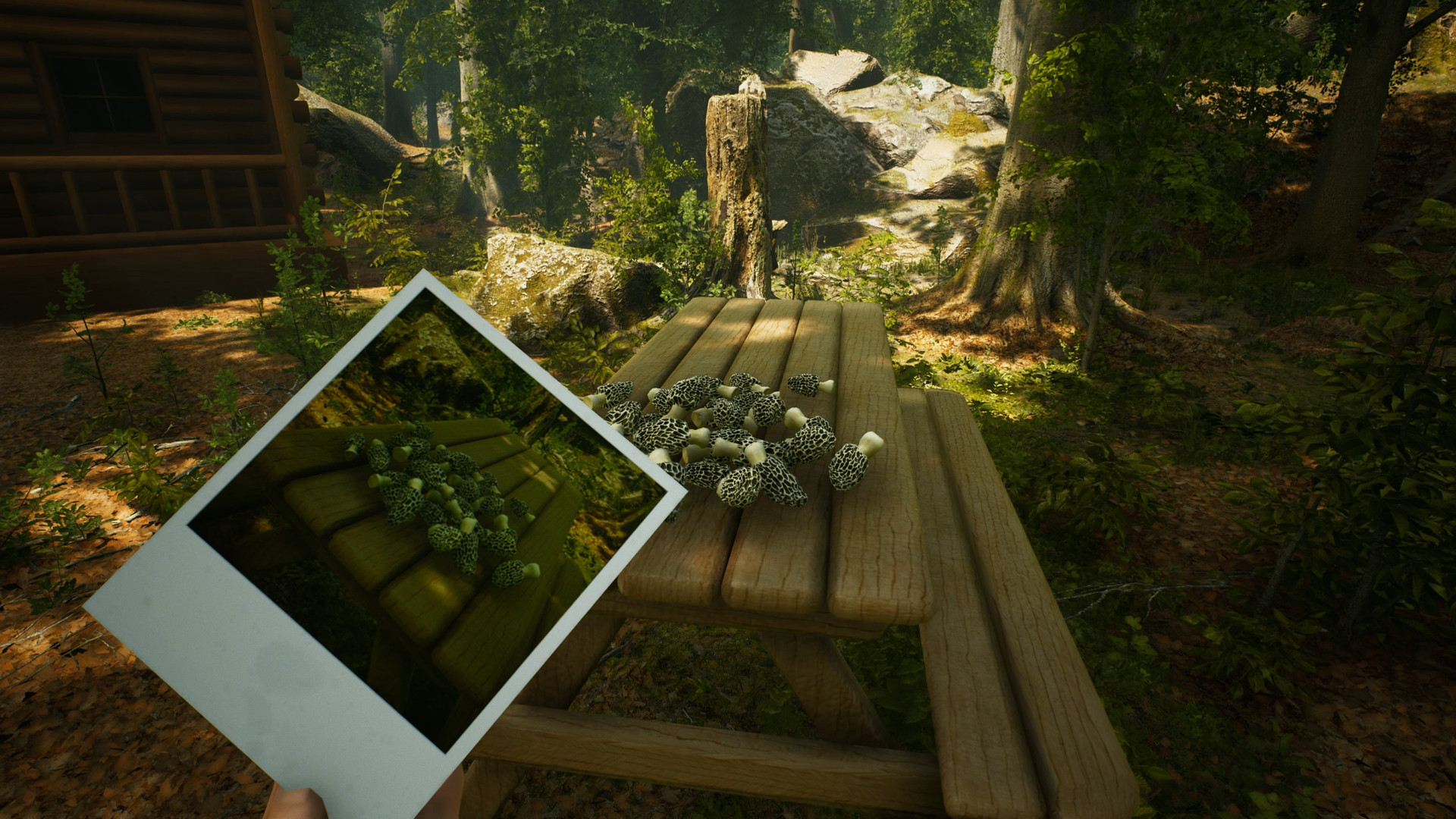 Скриншот из игры Morels: The Hunt - 15