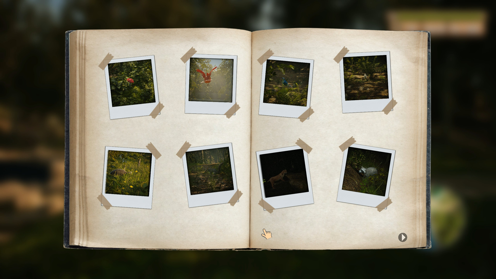 Скриншот из игры Morels: The Hunt - 16