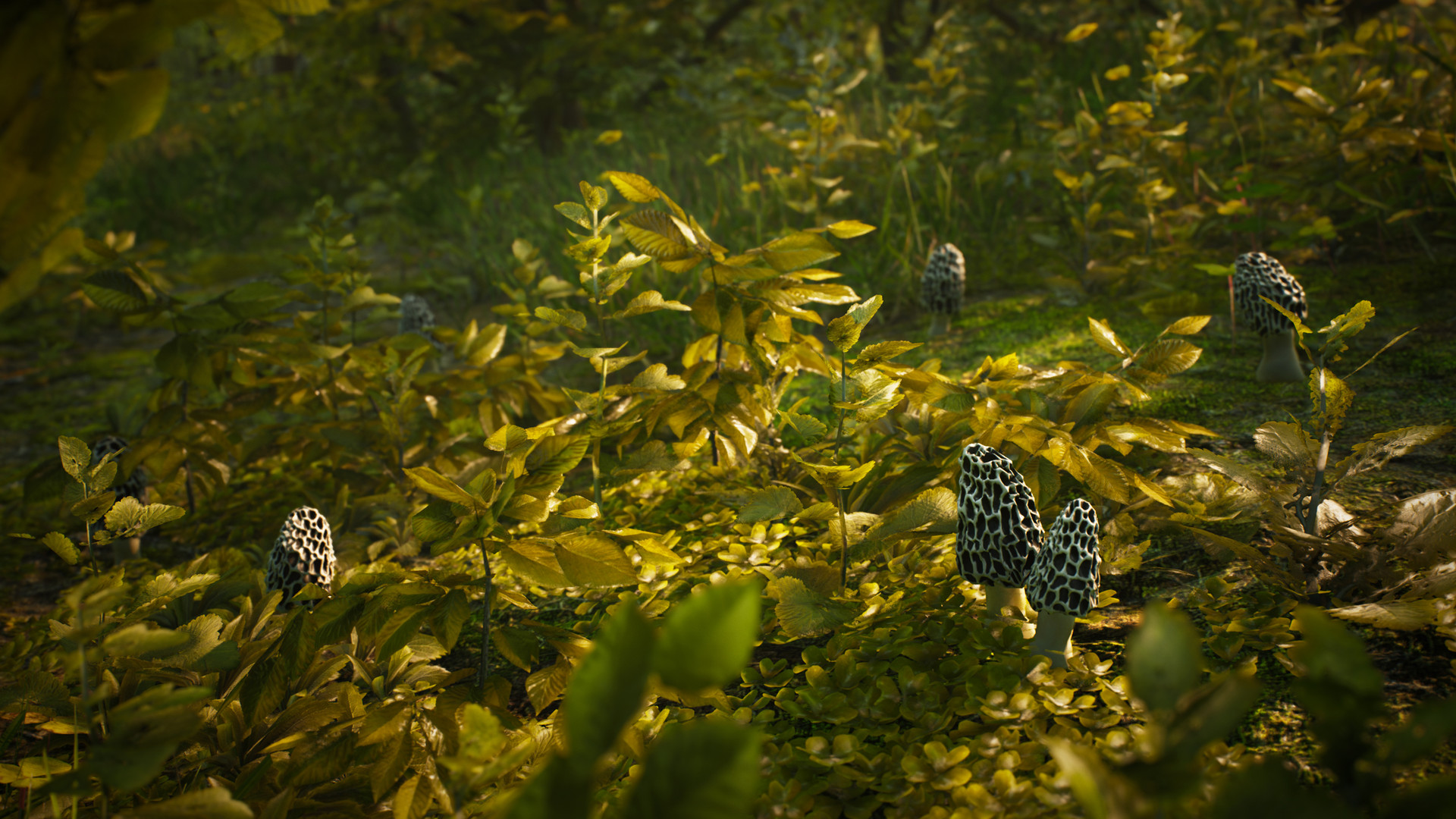 Скриншот из игры Morels: The Hunt - 20