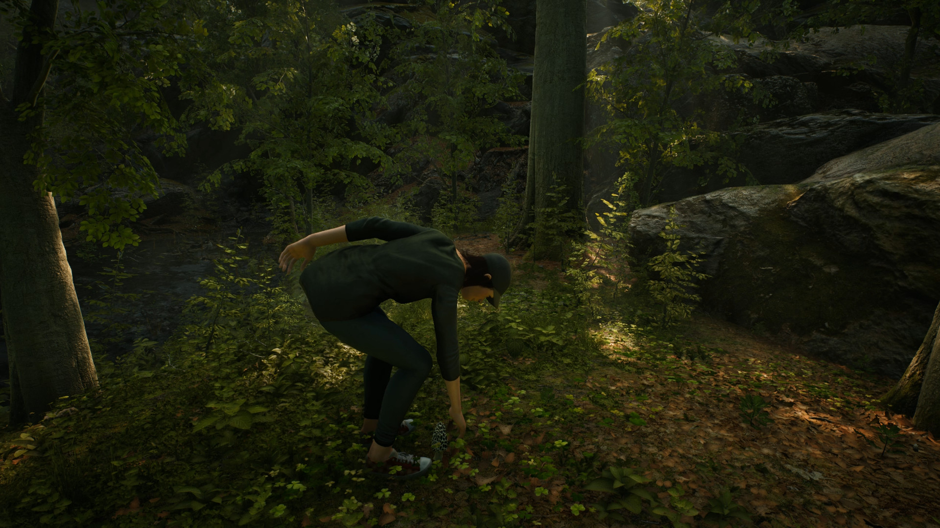 Скриншот из игры Morels: The Hunt - 6