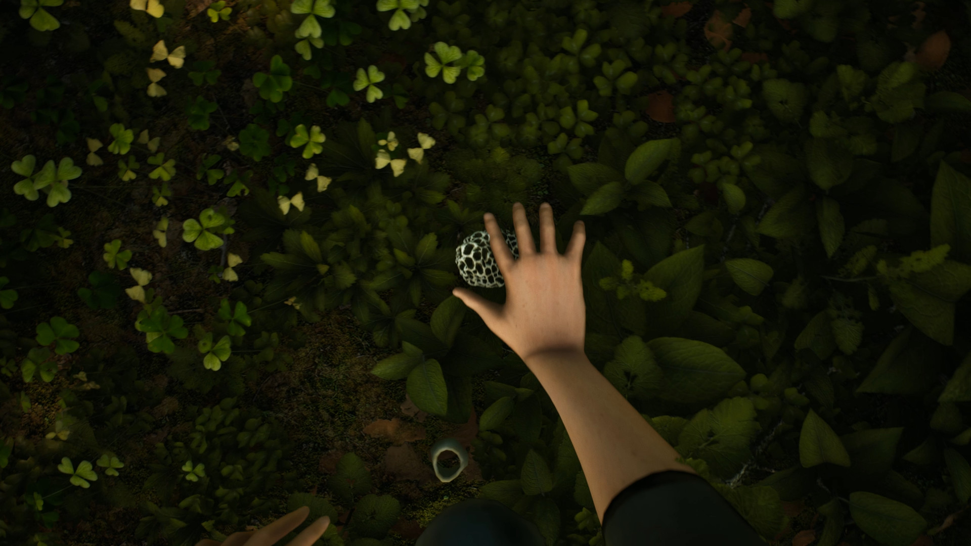 Скриншот из игры Morels: The Hunt - 7