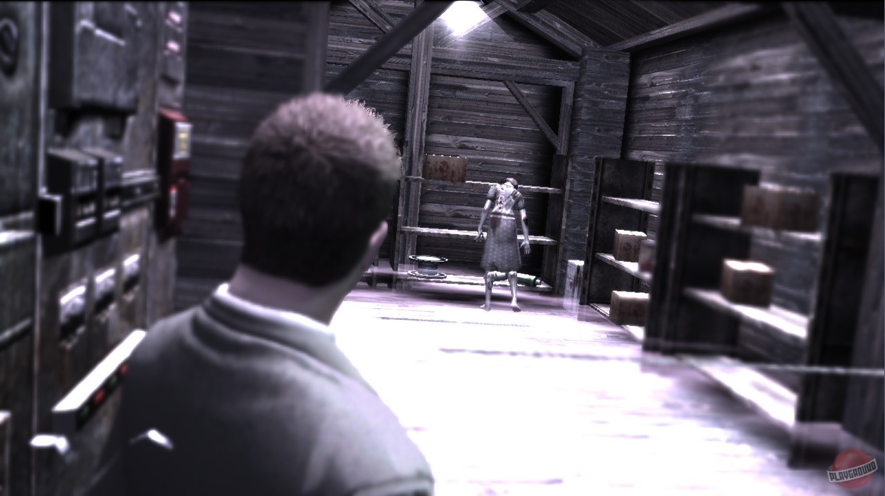 Скриншот из игры Deadly Premonition - 46